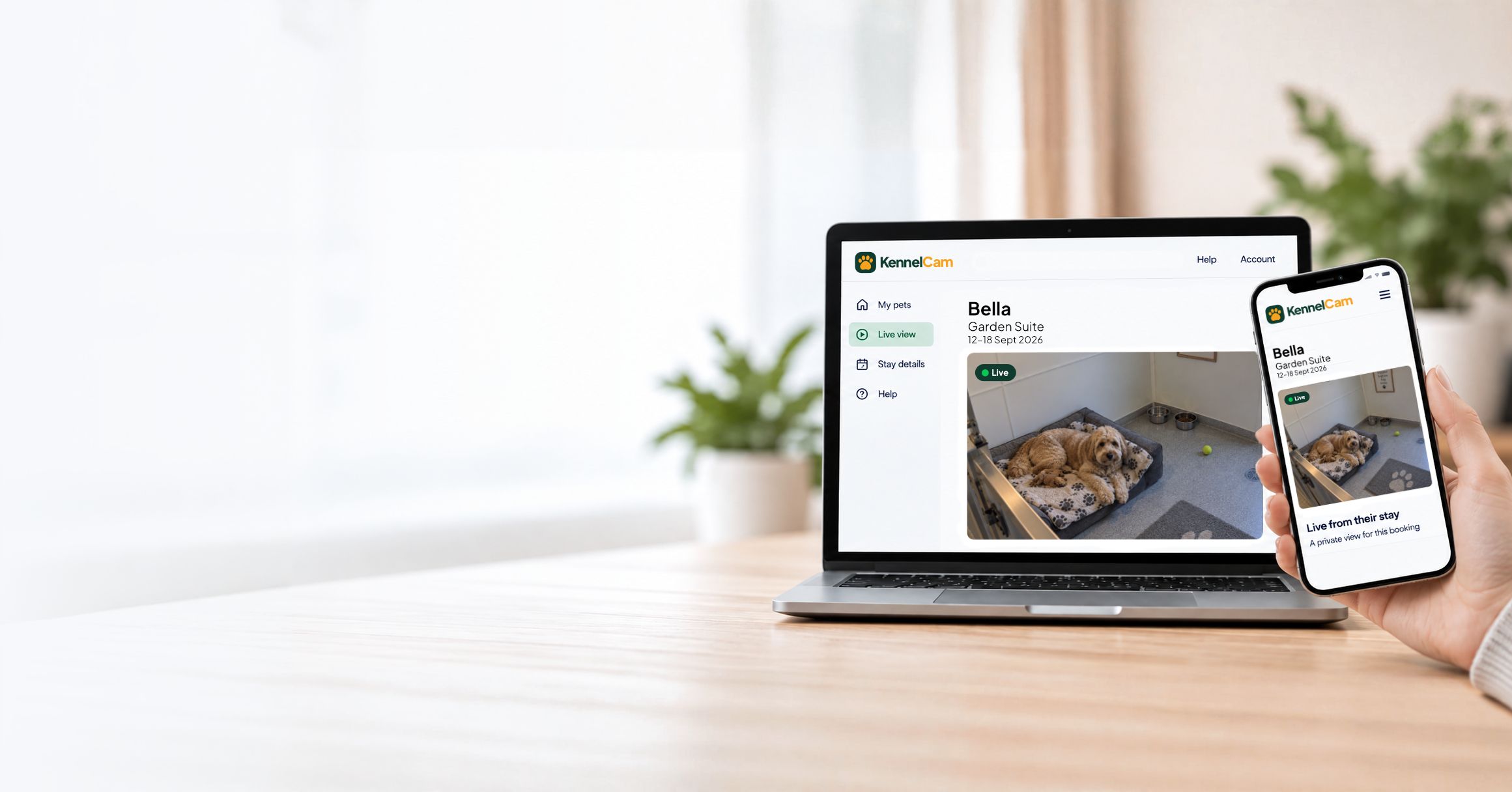 Pet owner checking Bella’s live KennelCam view on a laptop and phone
