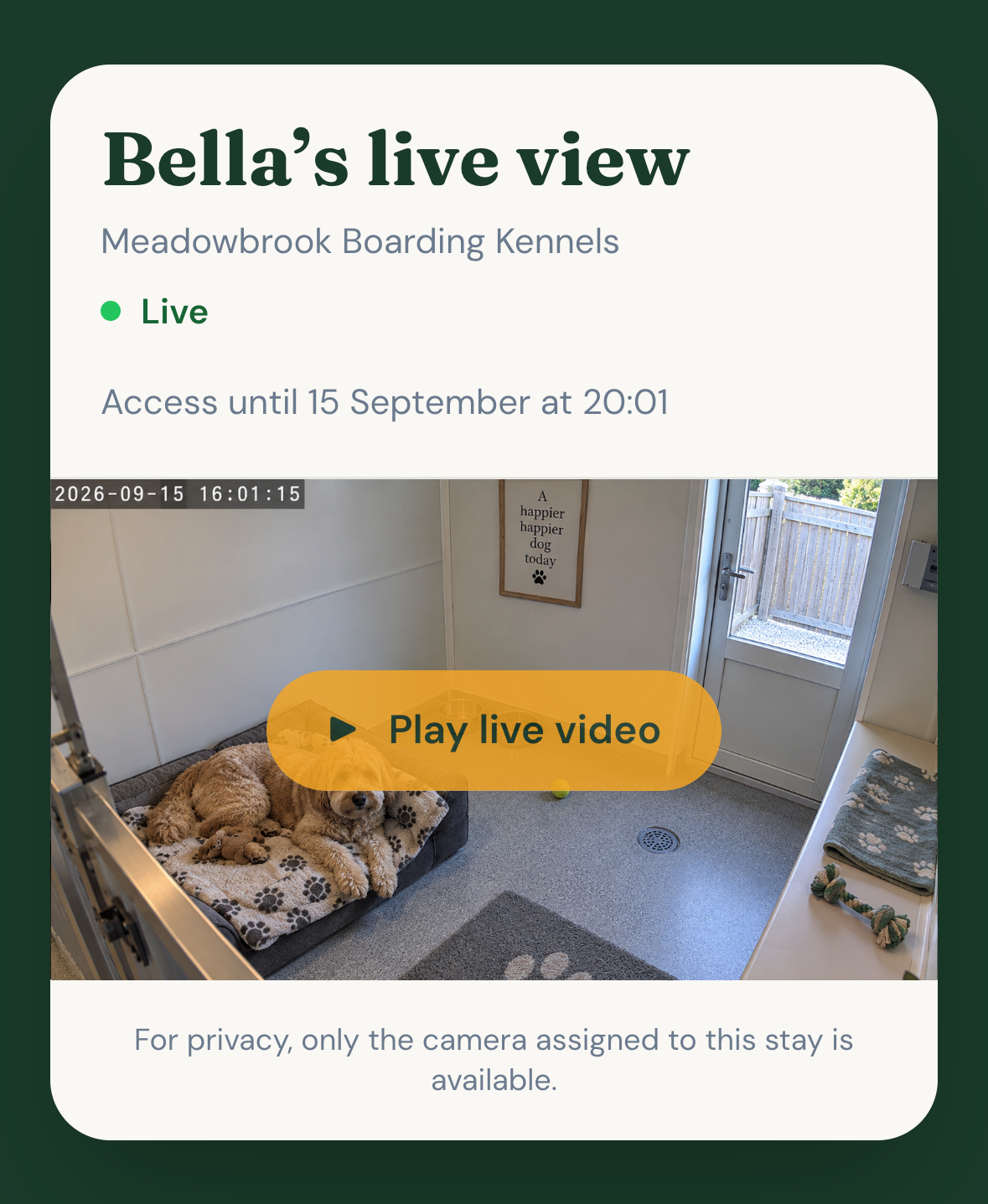 Bella’s live viewer at Meadowbrook Boarding Kennels